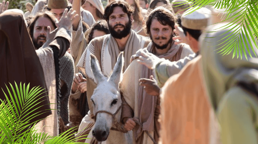 Domingo de ramos en panama – Iglesia Universal